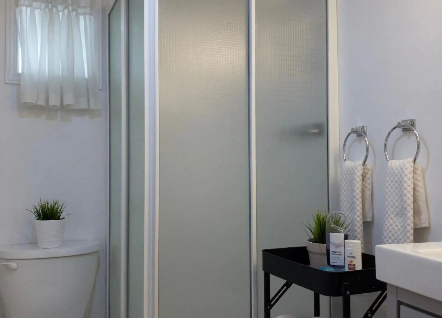 Charming Bloor West Retreat Apartment Toronto